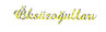 Sivri Patent Referansları